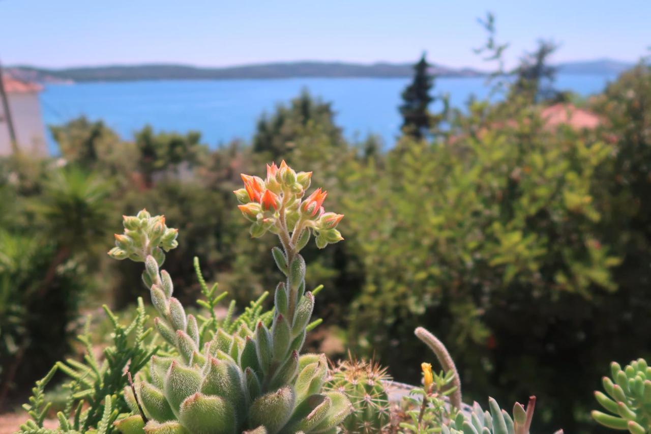 Cvita Apartmán Trogir