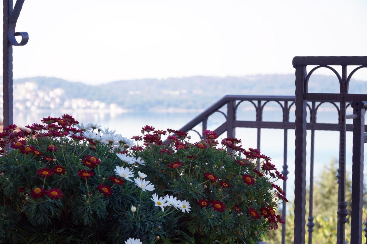 Apartmán Cvita Trogir