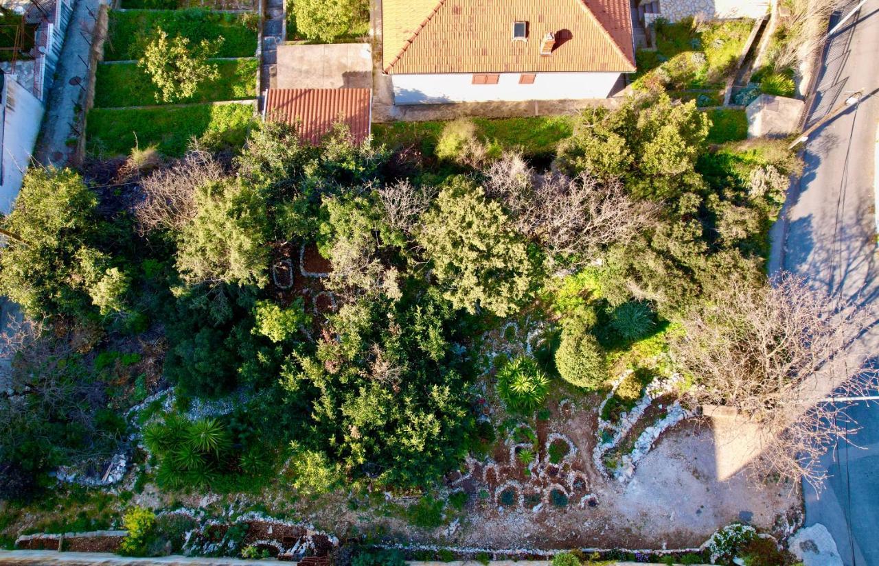 Apartmán Cvita Trogir